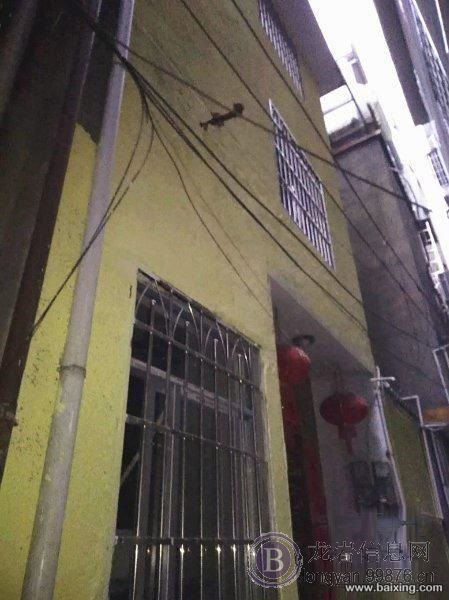 惊!读实小龙初标准两房,二套可以读书 仅售:80万